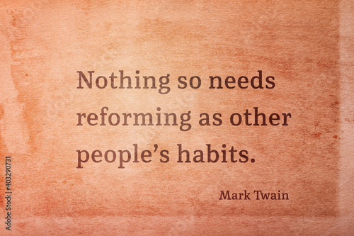 needs reforming Twain