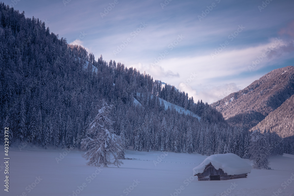 Alte Holzhütte im Schnee