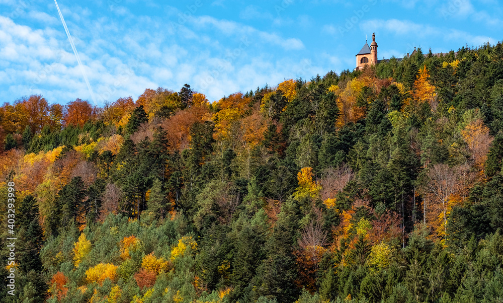 Beautiful autumn foliage in the mountains of Alsace, France
