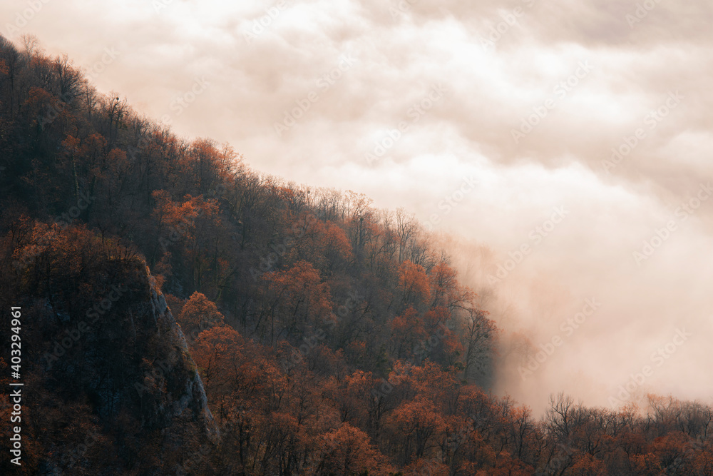 Obraz premium Mountain landscape. Beautiful blue sky. Morning in the mountains. Overcast.