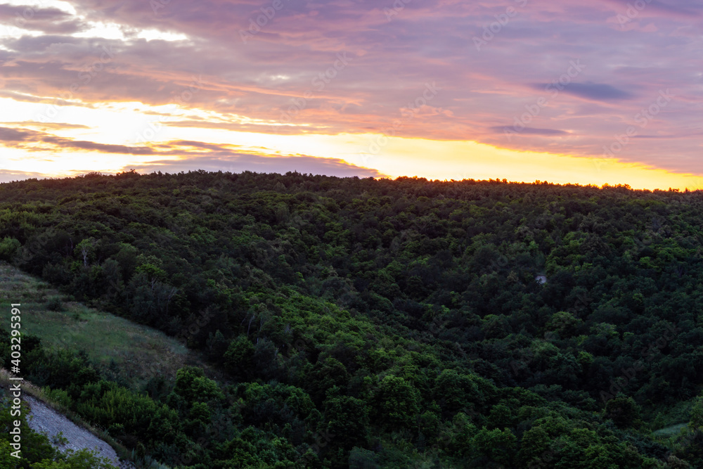 Obraz premium View of the hillside in the thickets of the forest at dusk against the backdrop of the sunset.