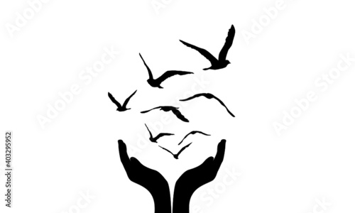 birds flying from handful