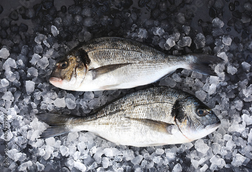 Sea bream fish from market, fresh fish on ice, seafood diet cooking background