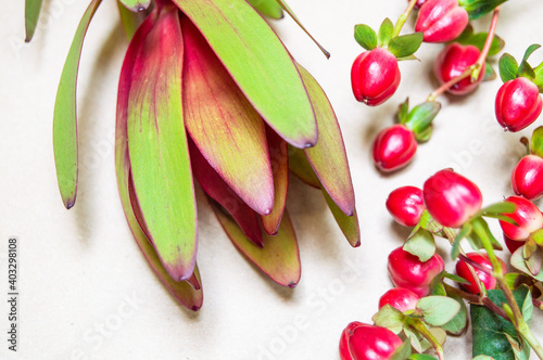 red hypericum berries on a crafting background with space for text.