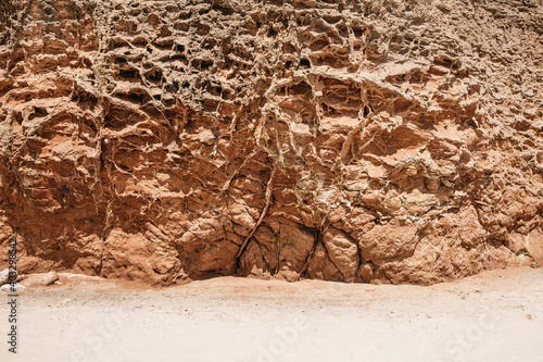 Canvas Print Sandy soil erosion view. Tree roots on the surface.