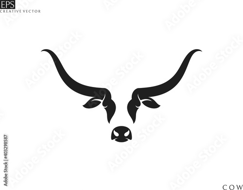 Scottish highland cow. Isolated cow head on white background photo