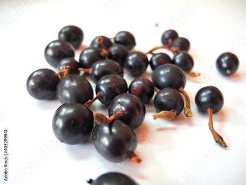 Black currant berries close up on a white background