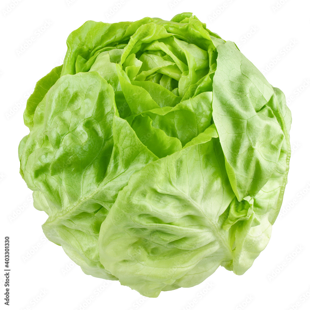 salad, lettuce, isolated on white background, clipping path, full depth of field salad, lettuce, isolated on white background, clipping path, full depth of field