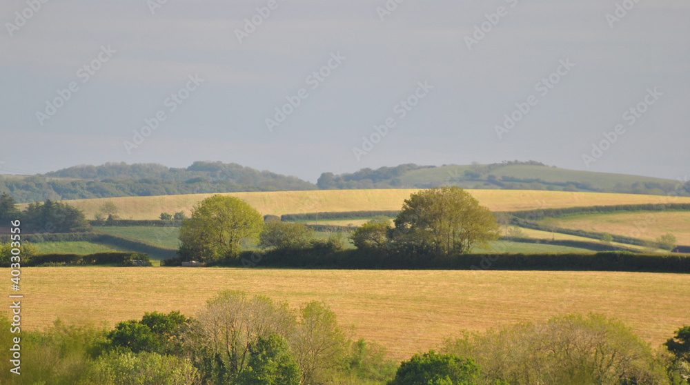 A hazy summers day in the Carmarthenshire countryside