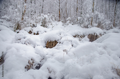 Eine Winterlandschaft in der Eifel