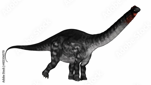 Apatosaurus dinosaur walking isolated in white background - 3D render © Elenarts