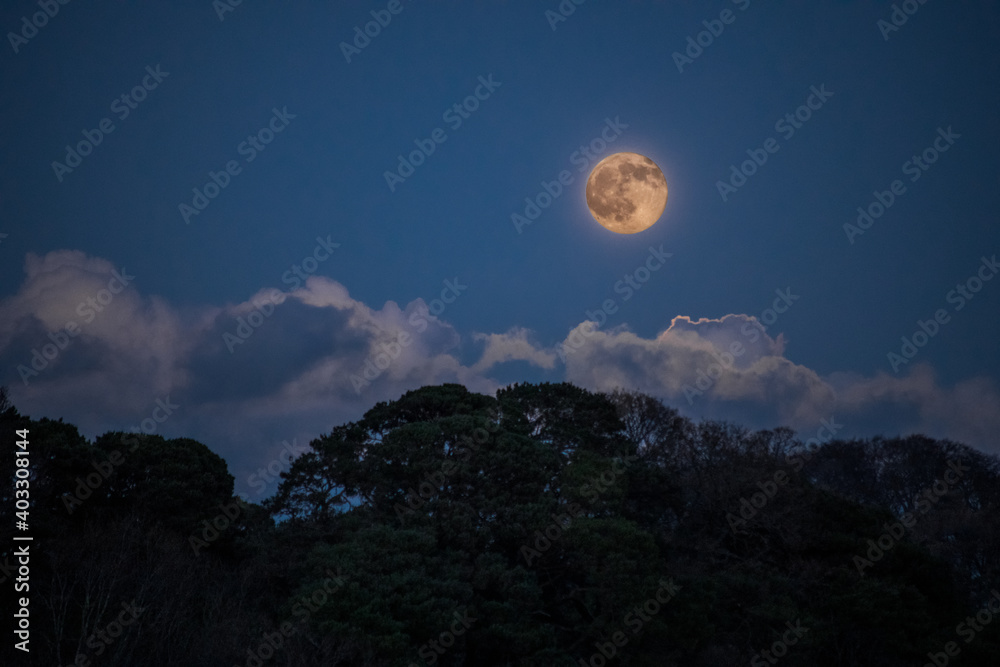 Moonrise Over the Trees and Clouds in Enniskerry, County Wicklow