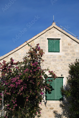 Traditional Mediterranean stone house with green wooden windows and bougainvillea flowers. Architecture in Split  Croatia.