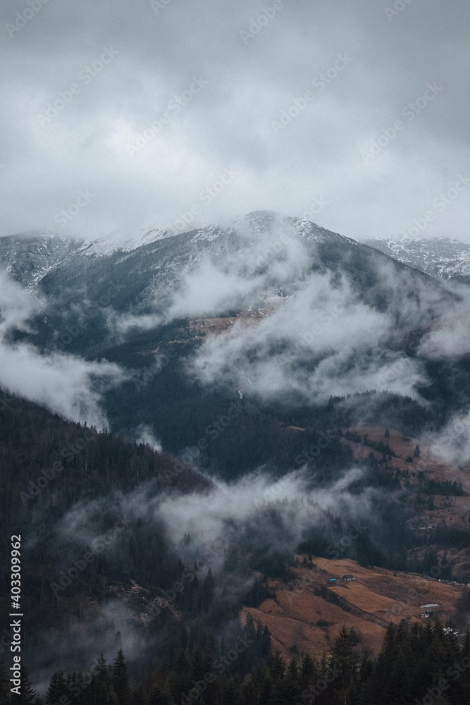 Fototapeta premium the magic of the Carpathian forest