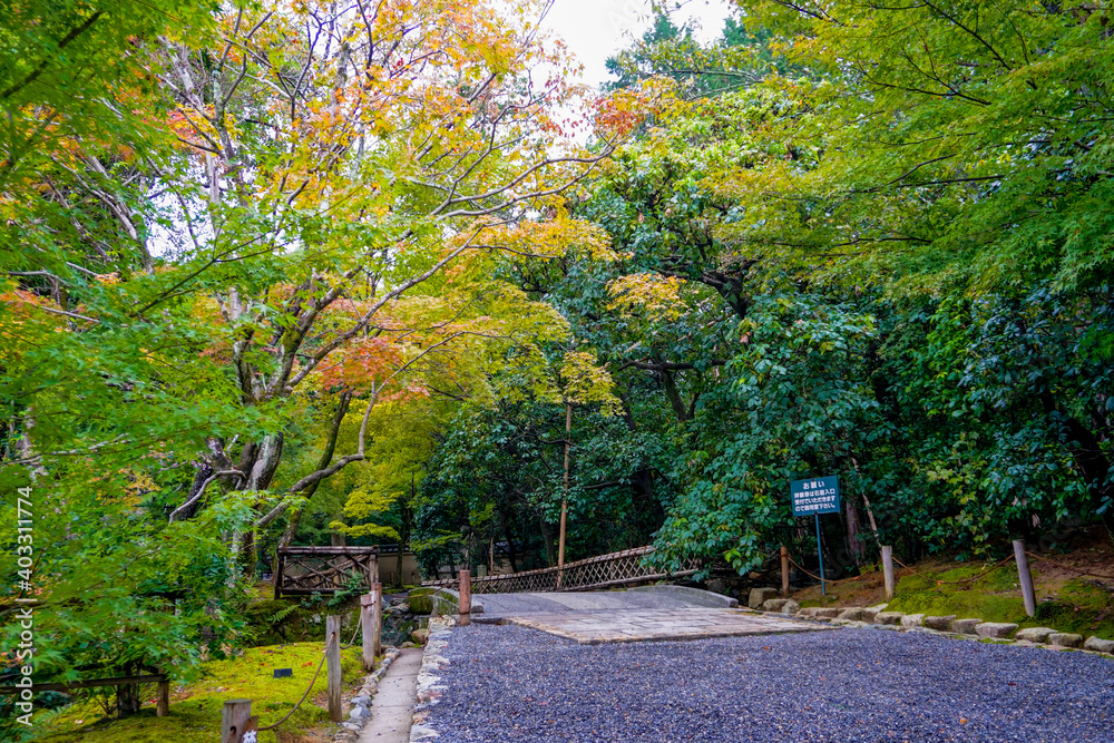 京都　竜安寺