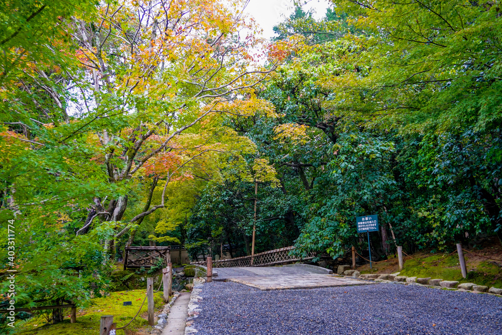 京都 竜安寺 京都 竜安寺