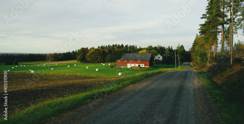 Swedish countryside 