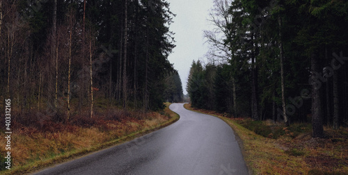 Driving through the forest
