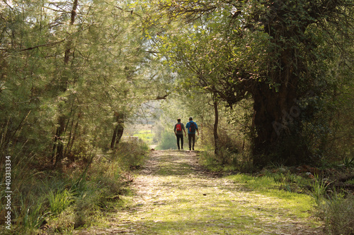 Two people are walking on the path in the forest.