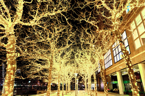 Canvas Print Trees around Brookfield Place beautifully decorated with yellow Christmas lights and produce a brightly-lit tunnel