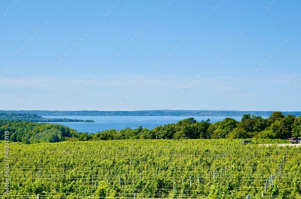 Beautiful scenic view of vineyard, farmland, lake, from the winery in Old Mission Peninsula, Michigan.	