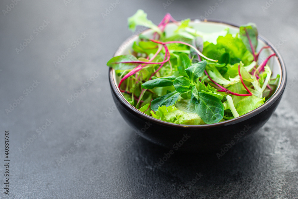 fresh green salad lettuce mix juicy microgreens snack ready to eat on the table healthy meal snack top view copy space for text food background rustic image keto or paleo diet fresh green salad lettuce mix juicy microgreens snack ready to eat on the table healthy meal snack top view copy space for text food background rustic image keto or paleo diet