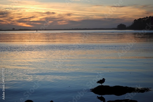 Fotografia, Obraz Sunset on Eureka, California's Pacific coast on Humboldt Bay