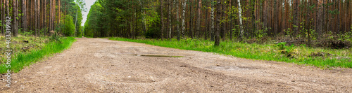 Fototapeta Naklejka Na Ścianę i Meble -  paved road through a pine and birch forest