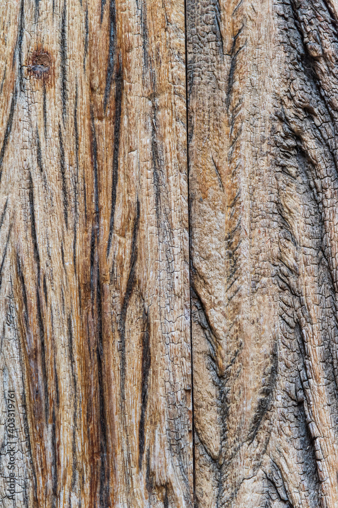 Obraz premium Textured natural wood background with golden highlighted grooves. Ancient wood in detail, grooves and veins, artistic composition. Old plank wooden wall background. The texture of old wood. Weathered
