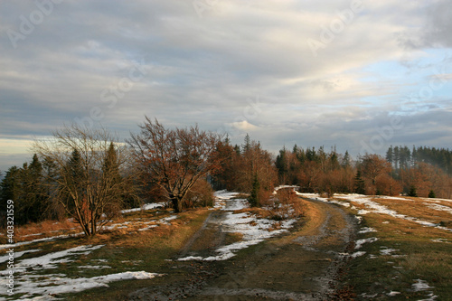 The begining of winter in Magurka peak, Little Beskids, Poland