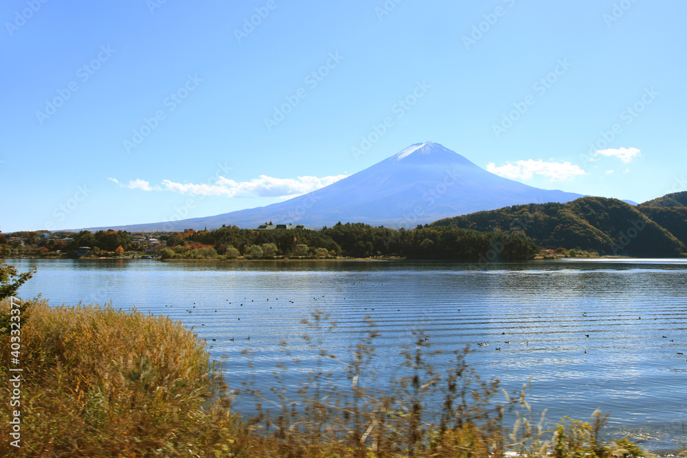 Lake Kawaguchi with Mt. Fuji in the background in Japan. Lake Kawaguchi with Mt. Fuji in the background in Japan.