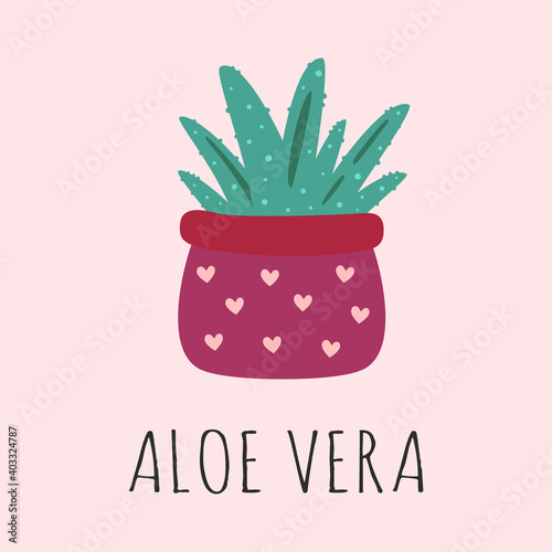cartoon illustration with aloe vera in pot