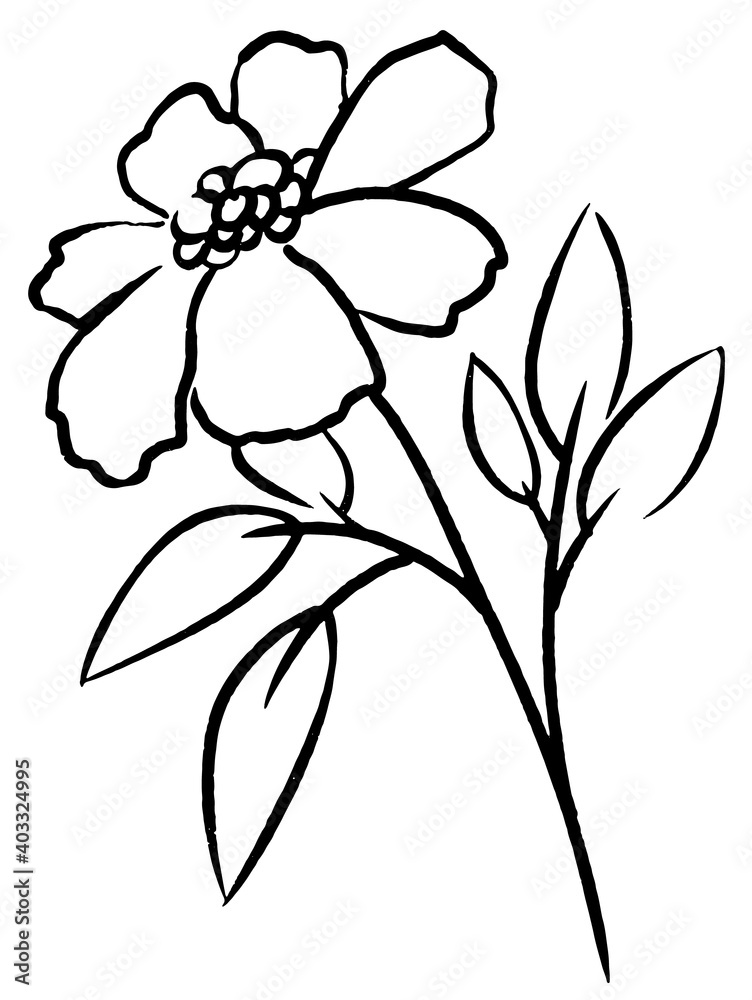 Abstract flower illustration Sketch Hand Drawn illustration black line. Vector doodle Abstract flower illustration Sketch Hand Drawn illustration black line. Vector doodle
