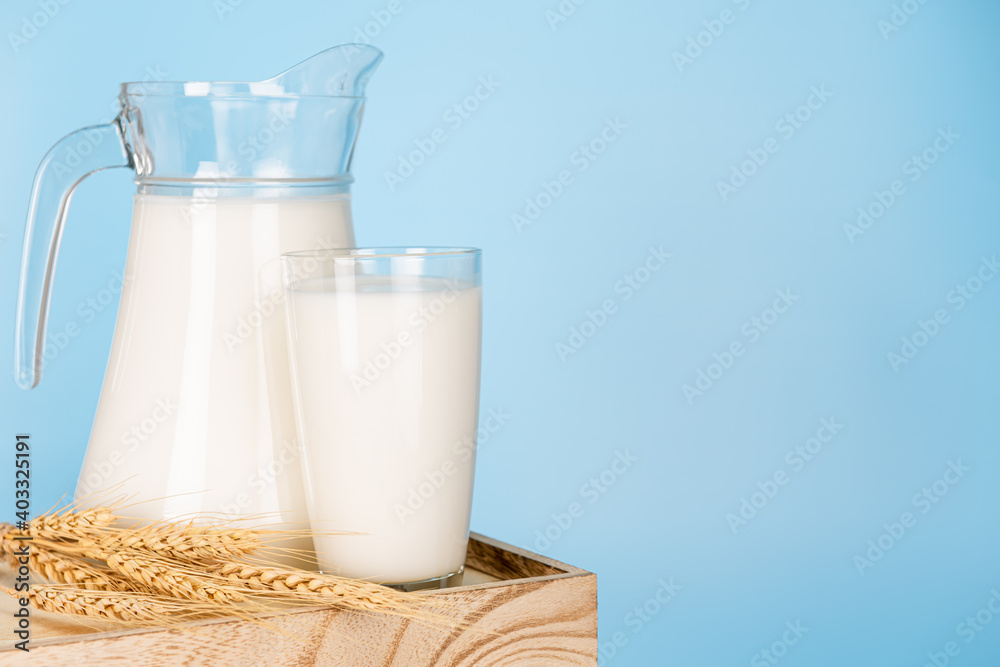 Jug and bottle of fresh milk glass on barley wheat and wooden crate box on a blue background.Raw milk is high in calcium and protein to drink for all ages.Milk consumption nutritious. Jug and bottle of fresh milk glass on barley wheat and wooden crate box on a blue background.Raw milk is high in calcium and protein to drink for all ages.Milk consumption nutritious.