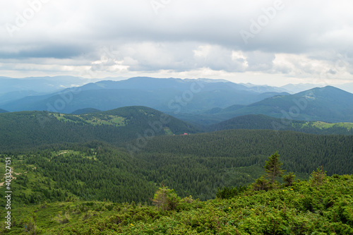 Fototapeta Naklejka Na Ścianę i Meble -  Beautiful mountain scenery. Summer day in the mountains. Ukrainian Carpathians