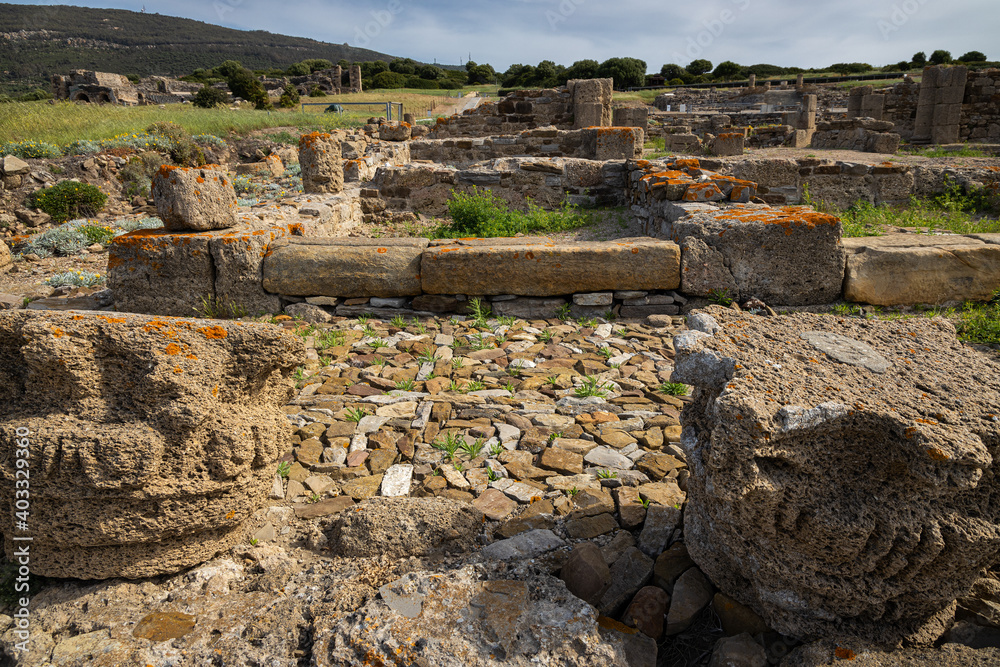 Roman ruins of Baelo Claudia, located near Tarifa. Andalucia. Spain.