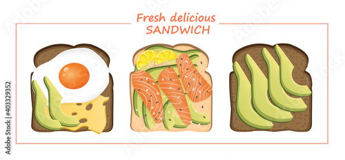 Set of delicious fresh sandwiches with toast bread consisting of a fried egg, salmon, avocado, lemon, cheese and sesame seeds. Vector illustration of a healthy breakfast. Healthy lifestyle.