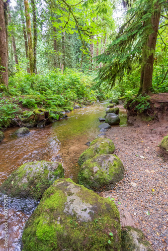 Majestic mountain river in Canada. Traboulay Port Coquitlam Park. Vancouver. photo