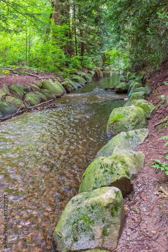 Majestic mountain river in Canada. Traboulay Port Coquitlam Park. Vancouver. photo