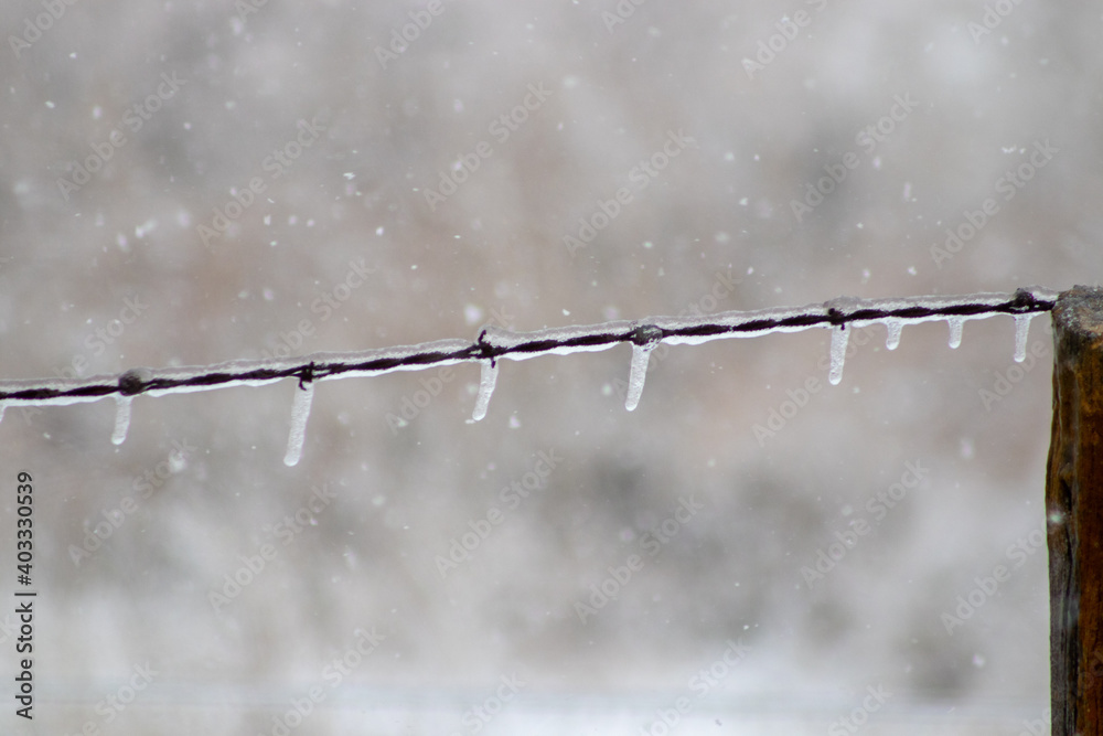 Ice covered barb wire fence in snow fall