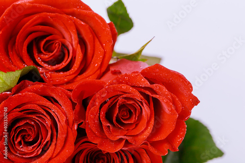 Bouquet of beautiful red roses isolated on white background.