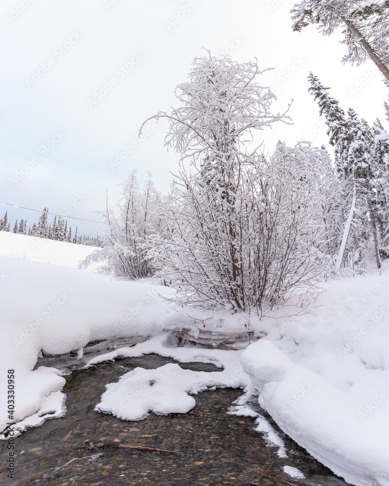 A stunning snow covered and surrounded creek during a winters day. Winter white wonderland with open water, icy, ice on sides of shore and stunning trees. A stunning snow covered and surrounded creek during a winters day. Winter white wonderland with open water, icy, ice on sides of shore and stunning trees.