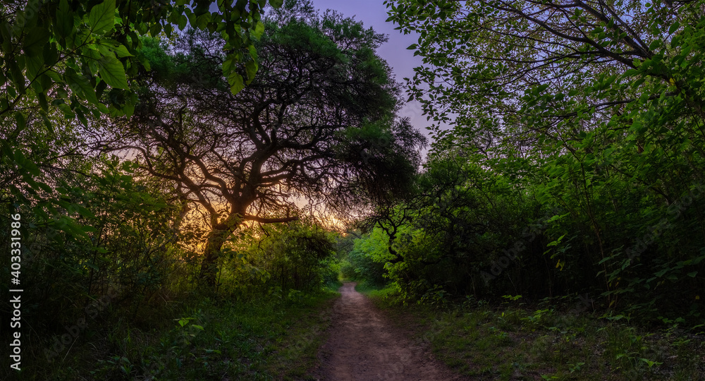 Obraz premium Rinconada