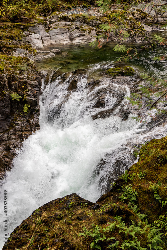 Naklejka premium Waterfalls and river at Little Qualicum Falls Provincial Park, B.C.