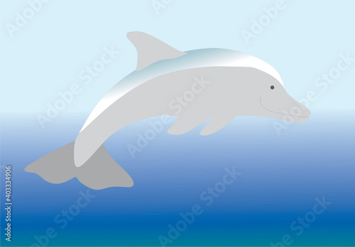 delfín  en el mar azul