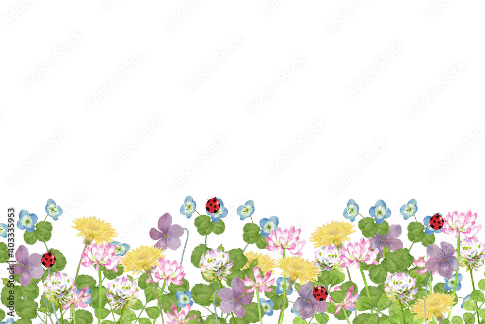 春の草花とテントウムシの水彩イラスト Stock Illustration Adobe Stock