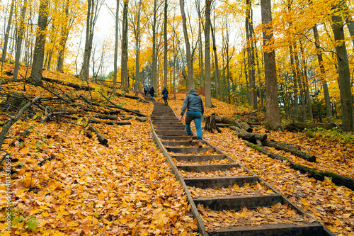 People ascend steps in an autumn forest