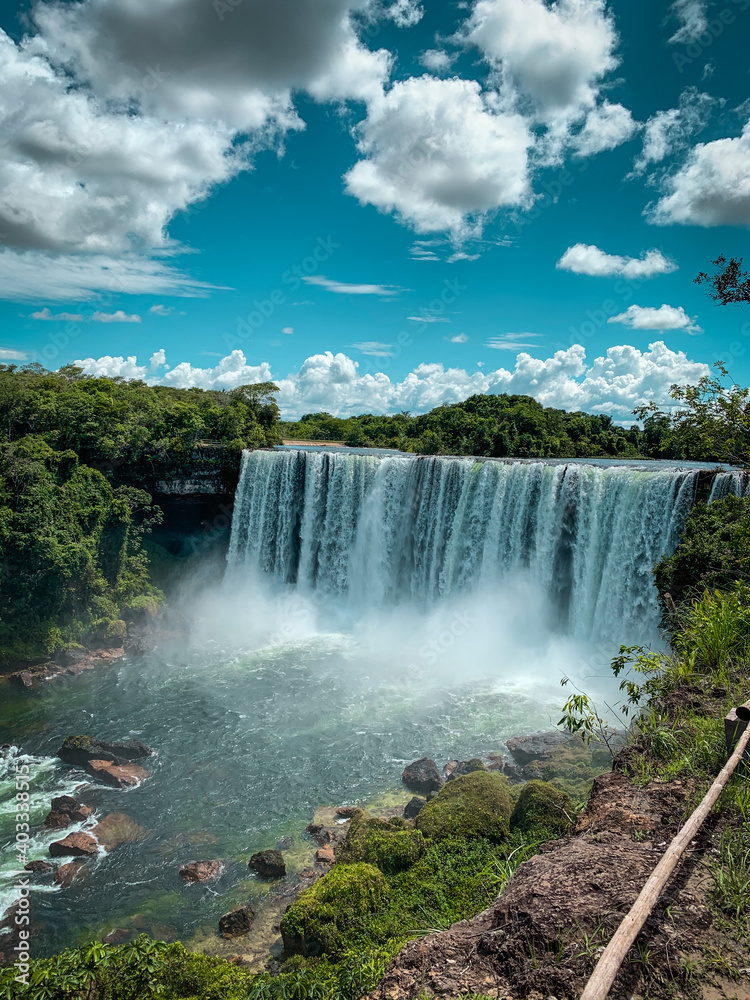 Fototapeta premium nature and sunset