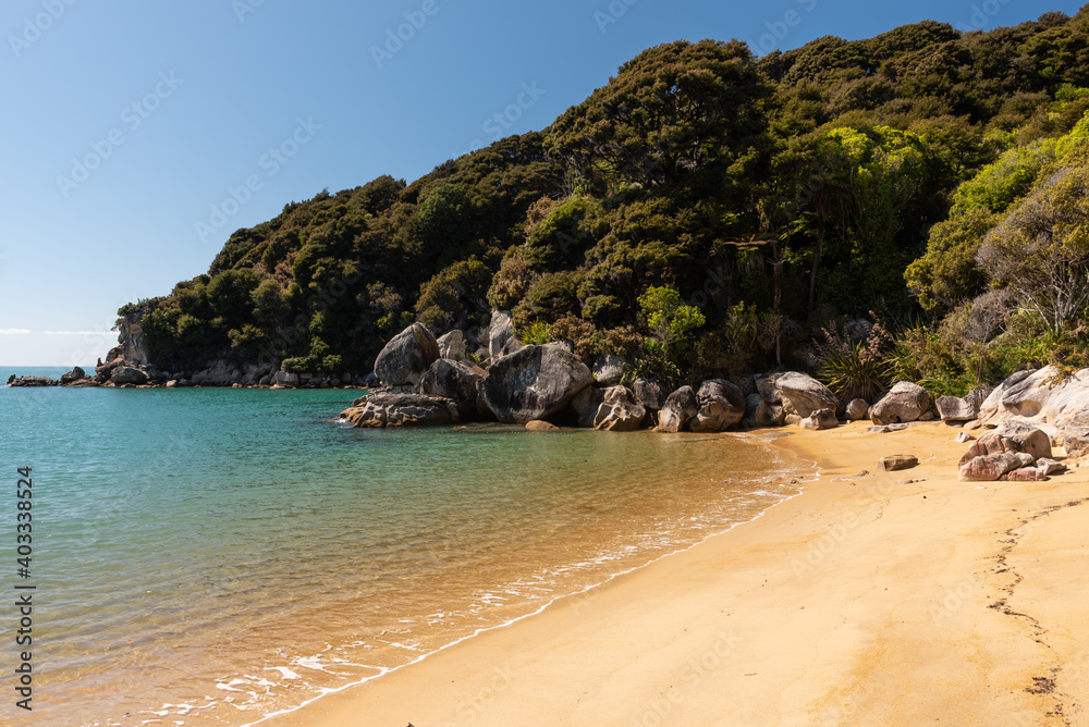 Forest covered headland at the end of the deserted, sandy beach at Pukatea Bay, Able Tasman National Park, New Zealand.