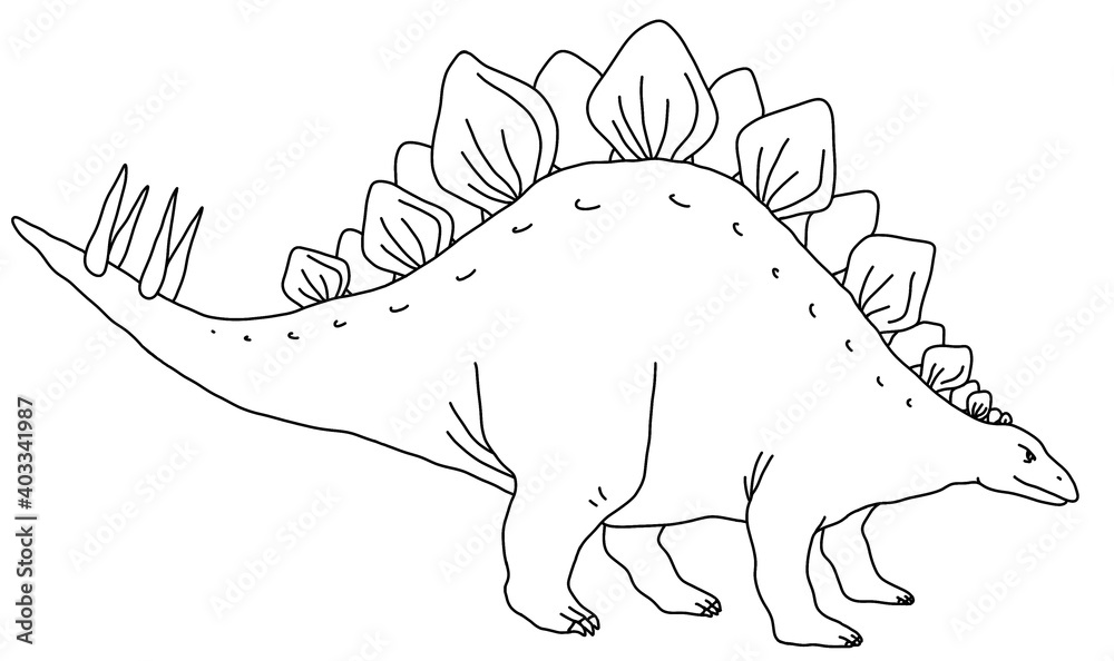 恐竜 ステゴサウルス 線画 白黒 Stock Illustration | Adobe Stock